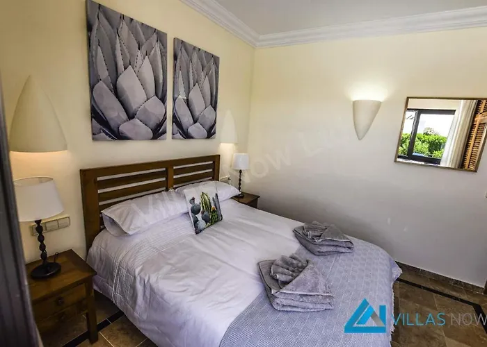 Henry - Lh187 By Now Ltd 플라야블랑카